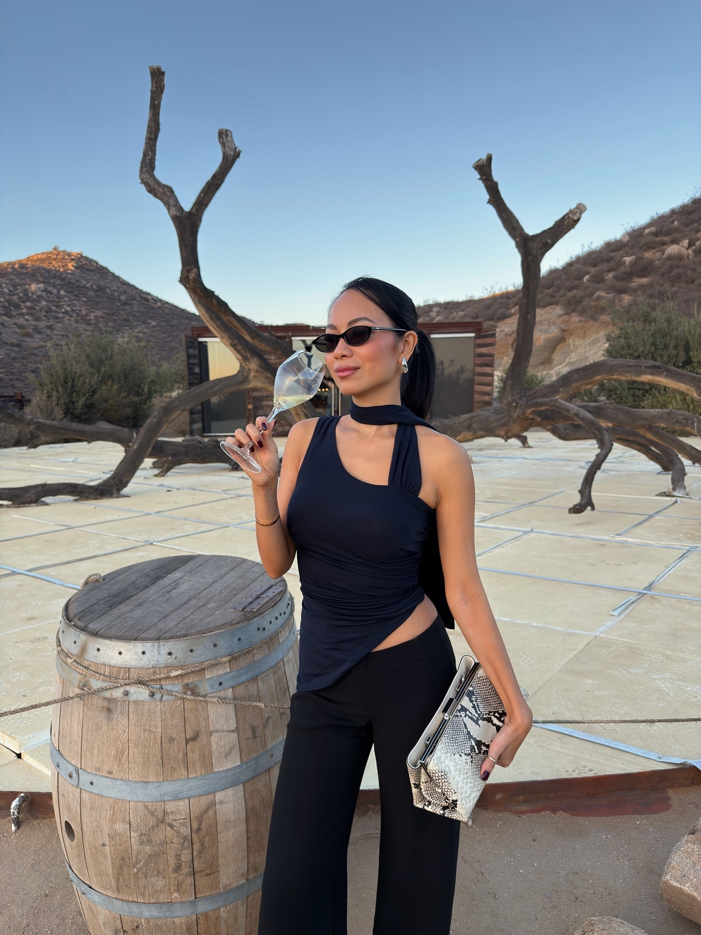 Sipping in style 🍷 outfit in valle de guadalupe

Verafied snakeskin bag 

.
.
.
.
.
.
#dinnerdate#dinneroutfit#chicoutfit#datenightoutfit#girlsnightoutoutfit#winetastings#bajacalifornia#winecountry#valledeguadalupe#valle

#LTKStyleTip
