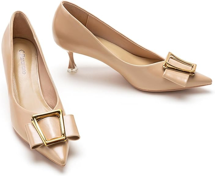 C.Paravano Metal Buckle Pointy Pumps Heels for Women Sexy Wedding Shoes Dressy Low Heel for Forma... | Amazon (US)
