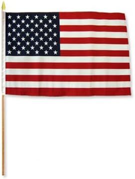 USA Stick Flags - One dozen stick flags - 12" x 18" | Amazon (US)