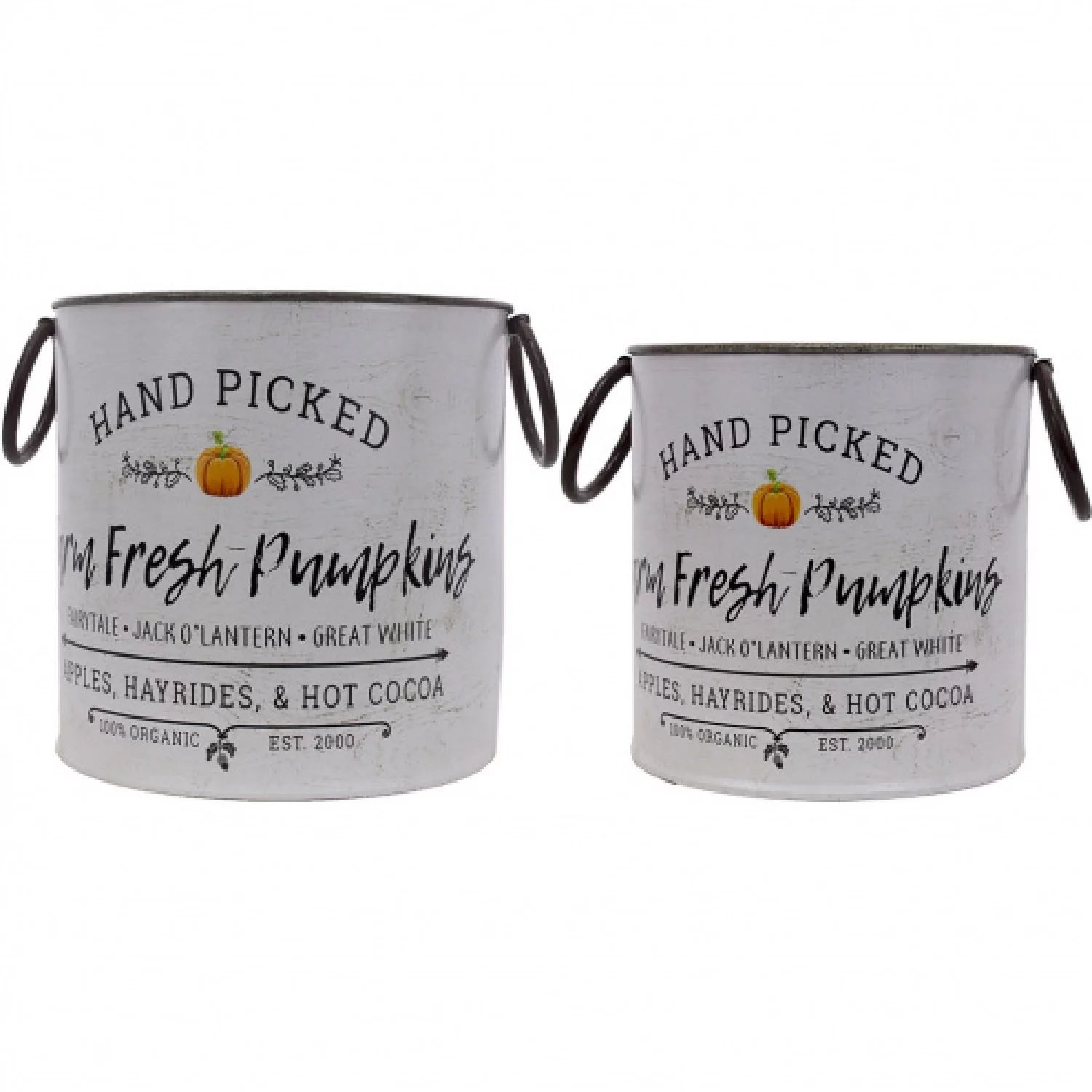 Set of 2 White and Black Farm Fresh Pumpkin Metal Bucket Fall Decorations 7.75" | Walmart (US)