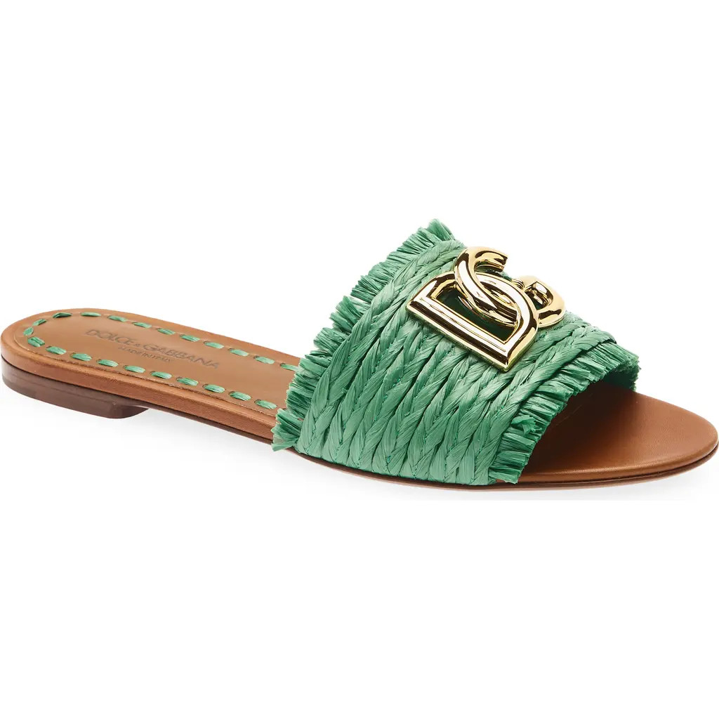 Dolce&Gabbana DG Logo Raffia Slide Sandal in 8B606 Verde/sabbia at Nordstrom, Size 36 | Nordstrom