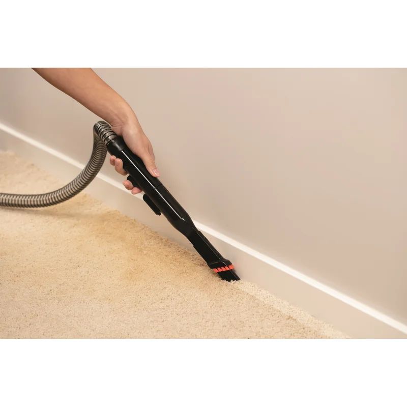 Bissell Little Green Proheat Portable Carpet Cleaner | Wayfair North America