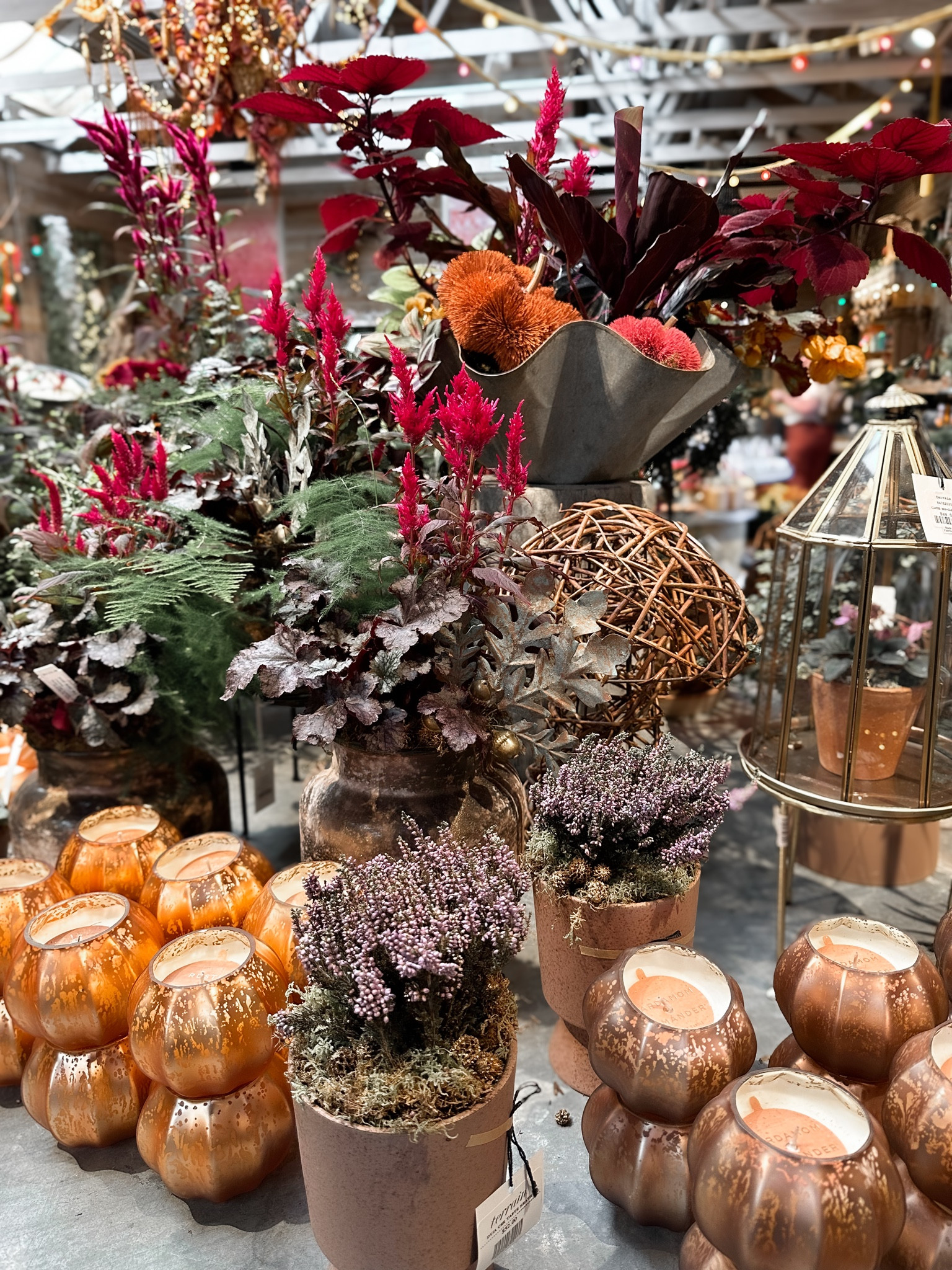 Terrain gifts  under $50

#LTKparties #LTKGiftGuide #LTKhome