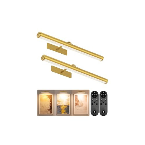 EZVALO Picture Lights for Wall, 16'' Rechargeable 6000mAh Painting Lights with Remote, Wireless Dimmable 3 Color Temps Art Lights for Gallery, Living Room, Hallway (Gold, 2Pack) | Amazon (US)