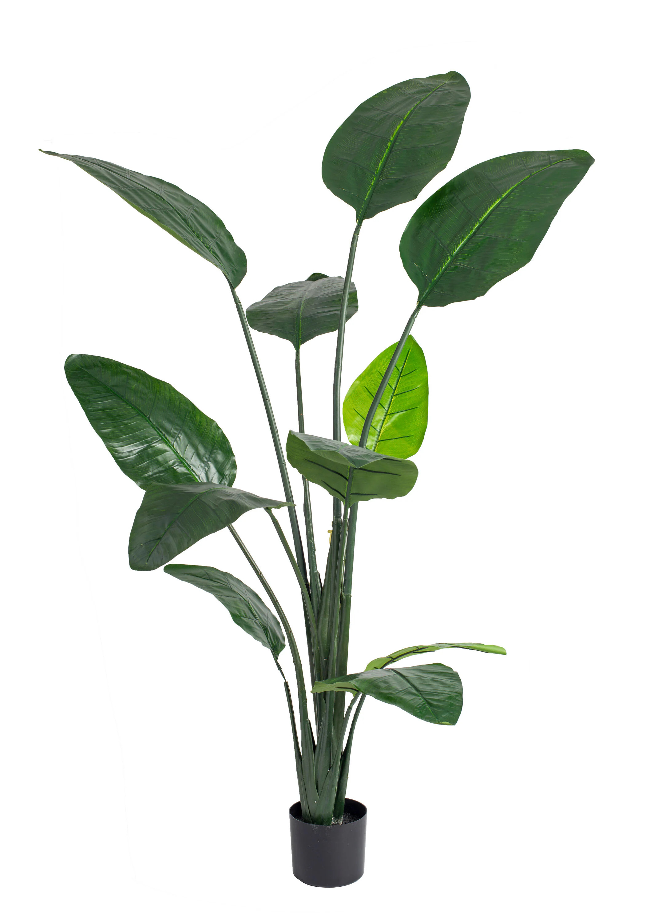 naturae decor 70-in Green Indoor/Outdoor Floor Bird of Paradise Artificial plant one_size | OUT-PARA-70BC | Lowe's