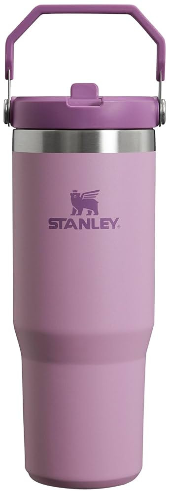 Stanley IceFlow Flip Straw Tumbler with Handle 30 oz | Twist On Lid and Flip Up Straw | Leak Resi... | Amazon (US)