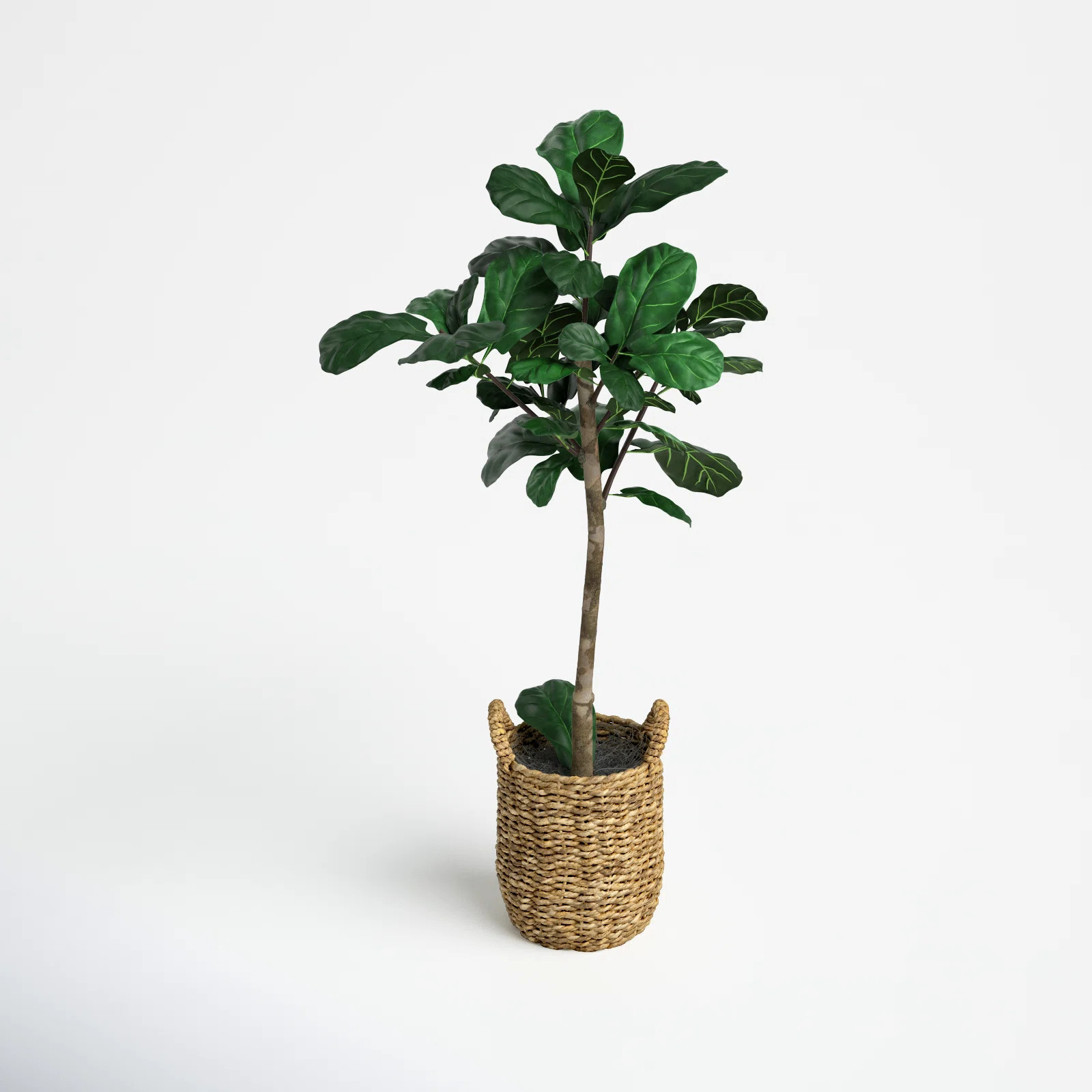 Joss & Main 30" Artificial Fiddle Leaf Fig Tree in Basket | Wayfair | Wayfair North America