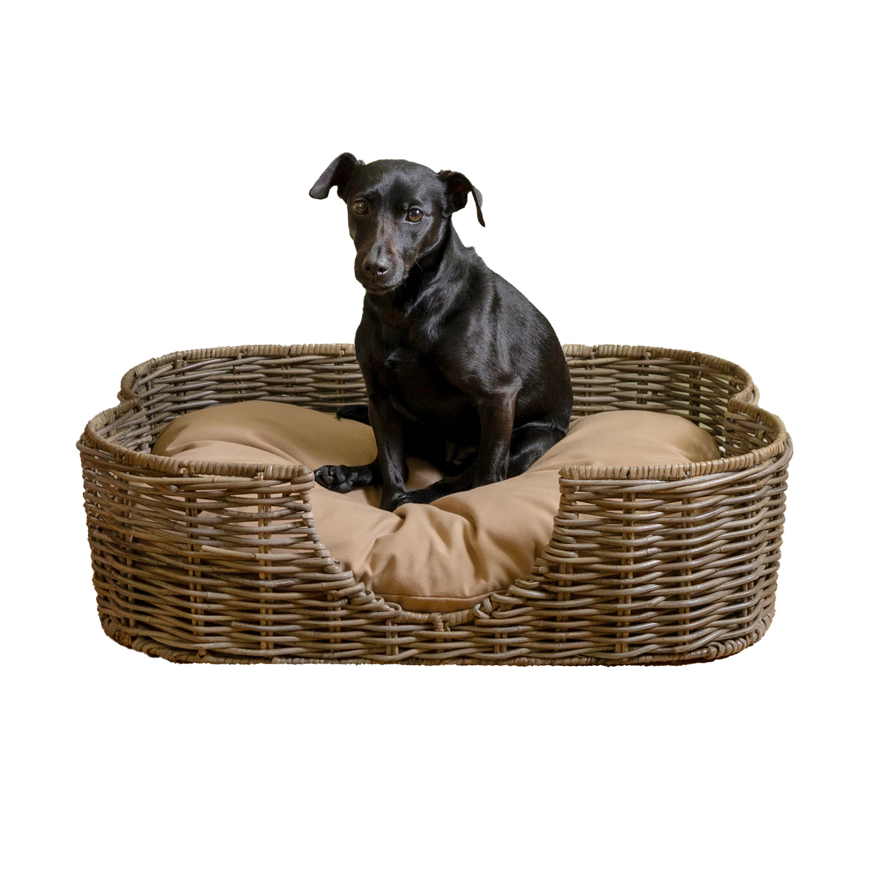 The Licker Store Rectangular Kubu Gray Polyester Bolster Dog/Cat Bed ( Medium ) | DBD1002A | Lowe's