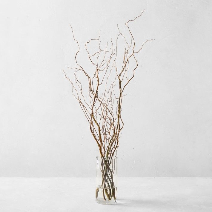Curly Willow Branches | Williams-Sonoma