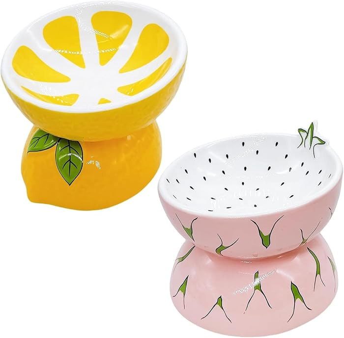 Hamiledyi Ceramic Raised Cat Bowl Anti Vomiting Elevated Tilted Cat Food & Water Bowls 2PCS Pet F... | Amazon (US)