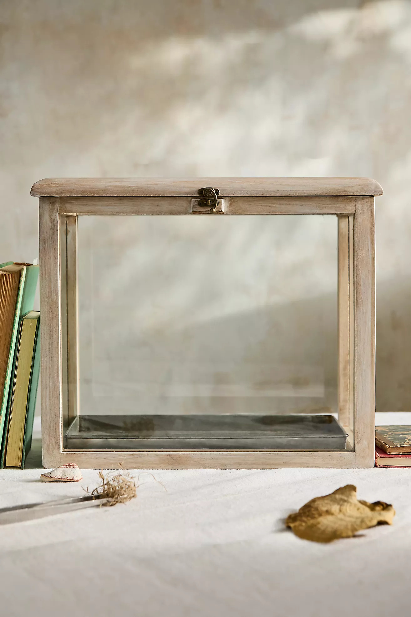 Terrarium Display Box | Anthropologie (US)