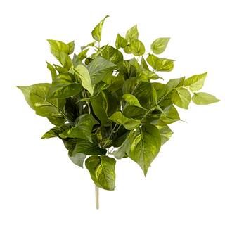 Pothos Bush Real Touch™ Collection by Ashland | Michaels Stores