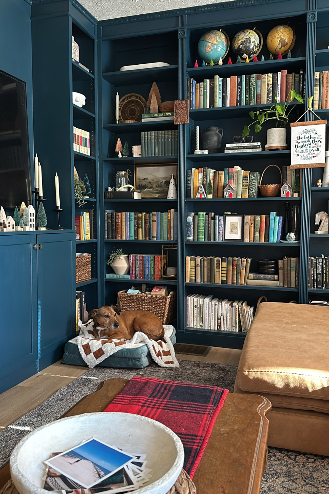 New bed and checkered blanket for the true man of the house😅

#LTKHome #LTKHoliday