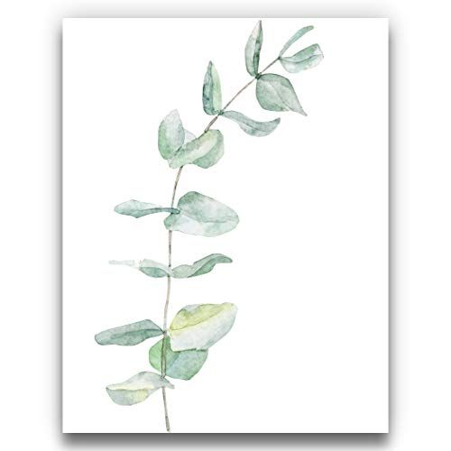 Curving Spiral Eucalyptus Branch Botanical Watercolor Wall Art 11x14 UNFRAMED Print - Makes a Gre... | Amazon (US)