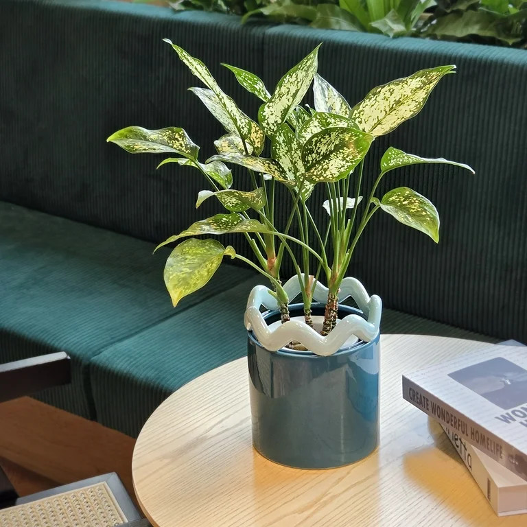 Mainstays Peyson 6" x 6" x 6.9" Round Teal Thunder Ceramic Planter | Walmart (US)