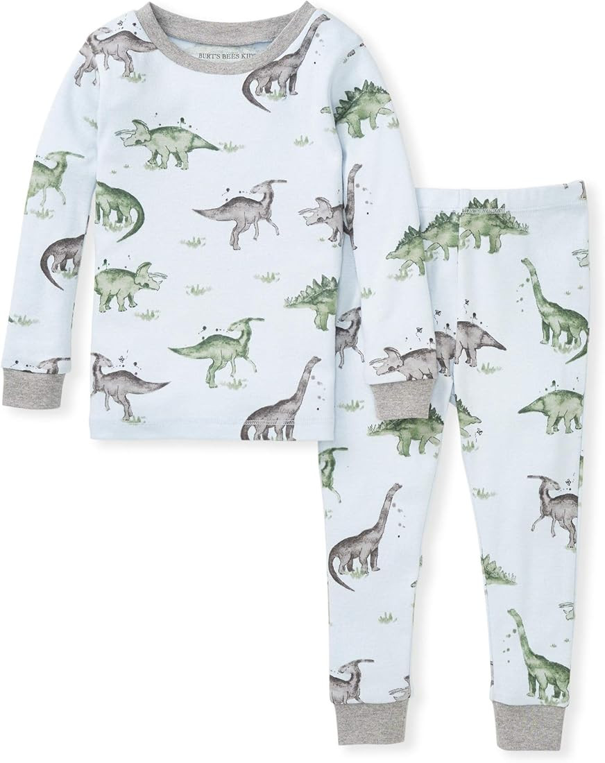 Burt's Bees Baby Baby Boys' Pajamas, Tee and Pant 2-Piece Pj Set, 100% Organic Cotton | Amazon (US)
