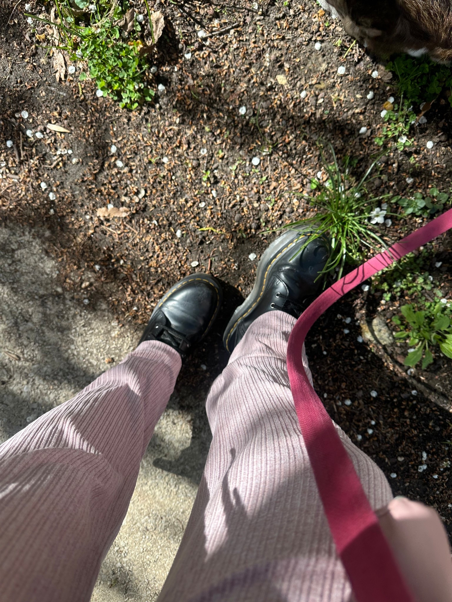 in my docs again - my favorites shoes ever 
i recommend sizing down! 