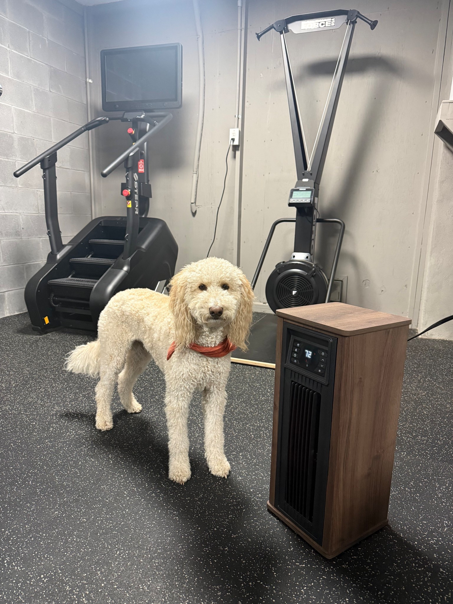 New infrared heater for my garage studio when the temps start to drop!
