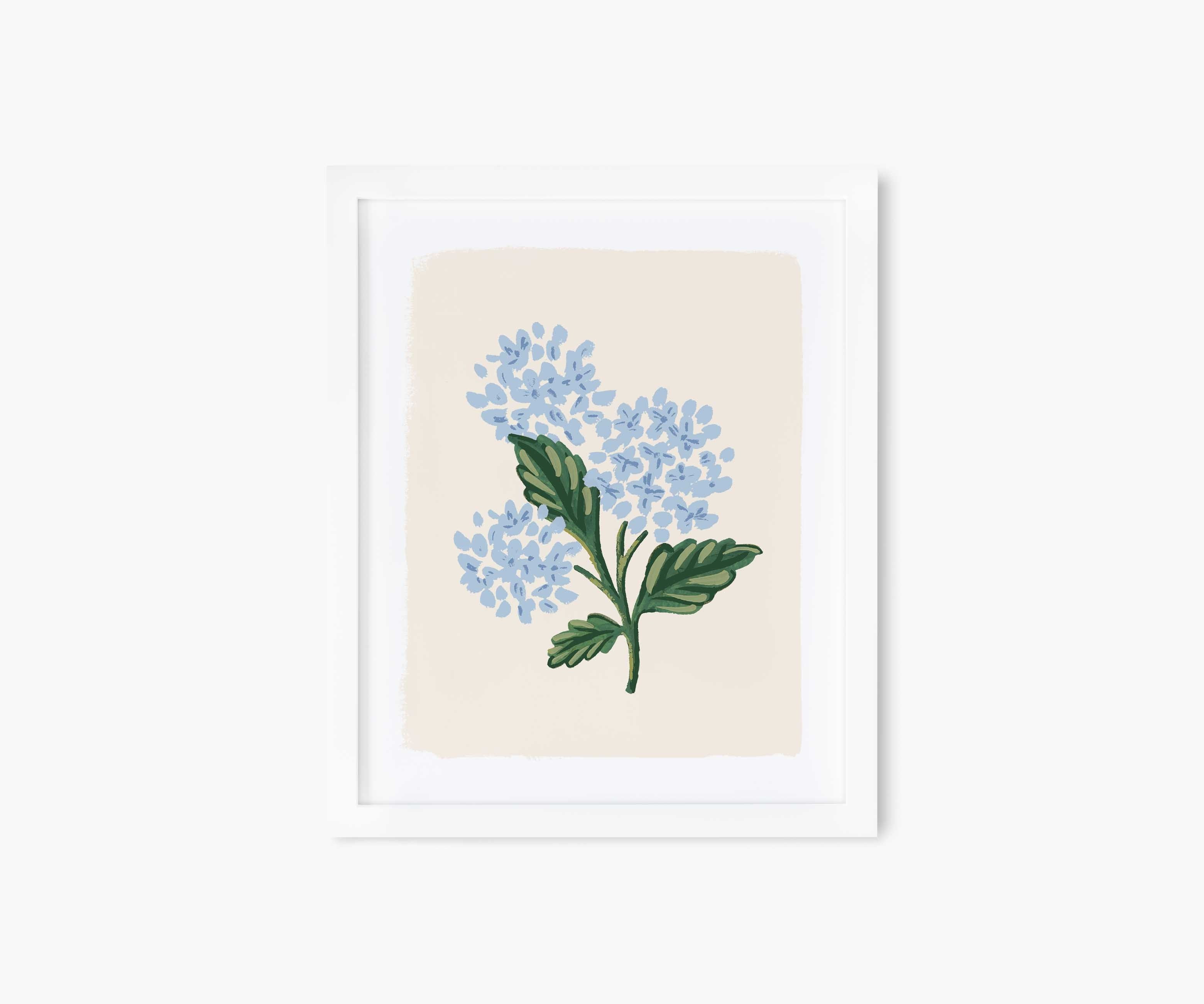 Hydrangea Bloom Cream Art Print | Rifle Paper Co.