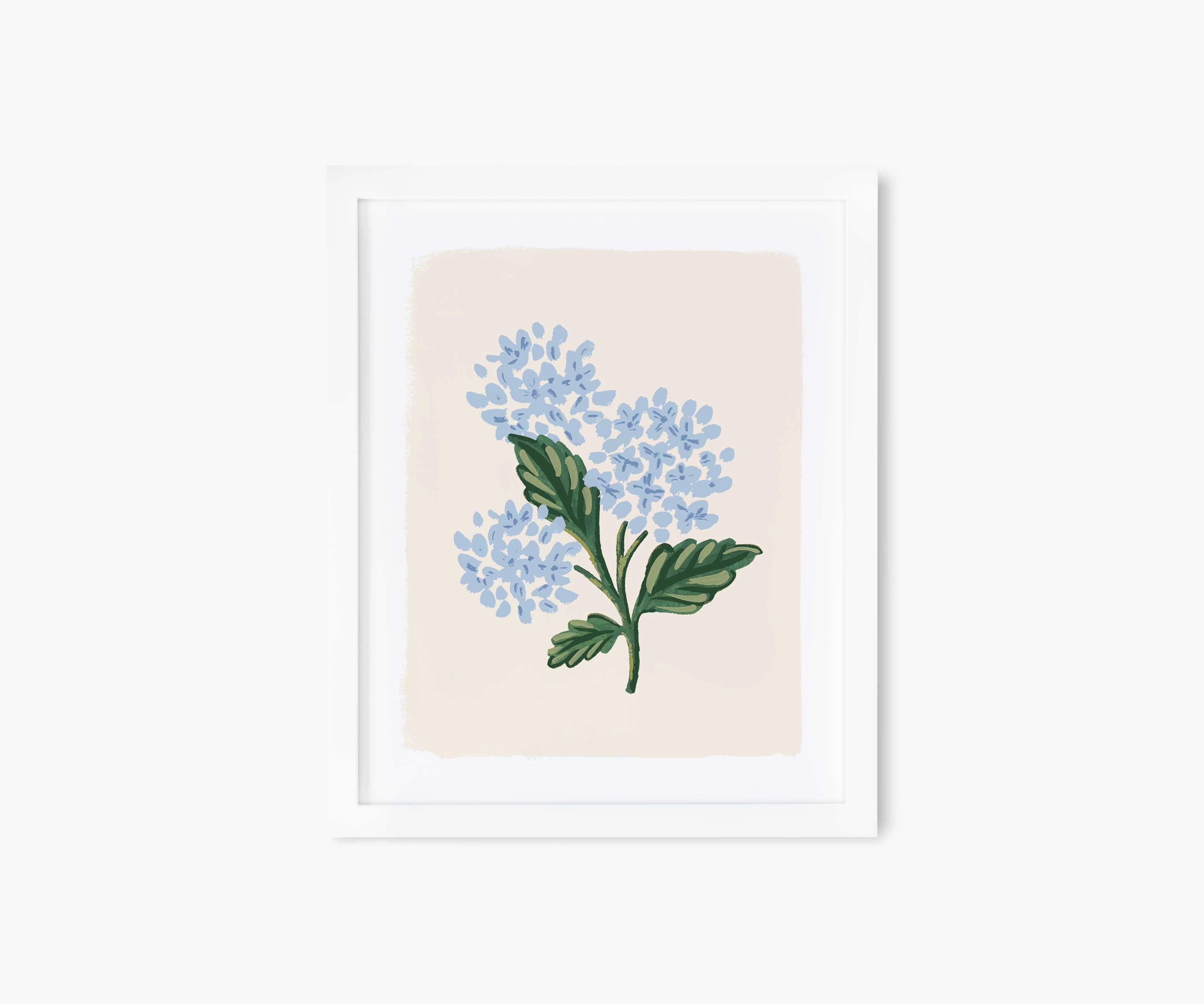 Hydrangea Bloom Cream Art Print | Rifle Paper Co.
