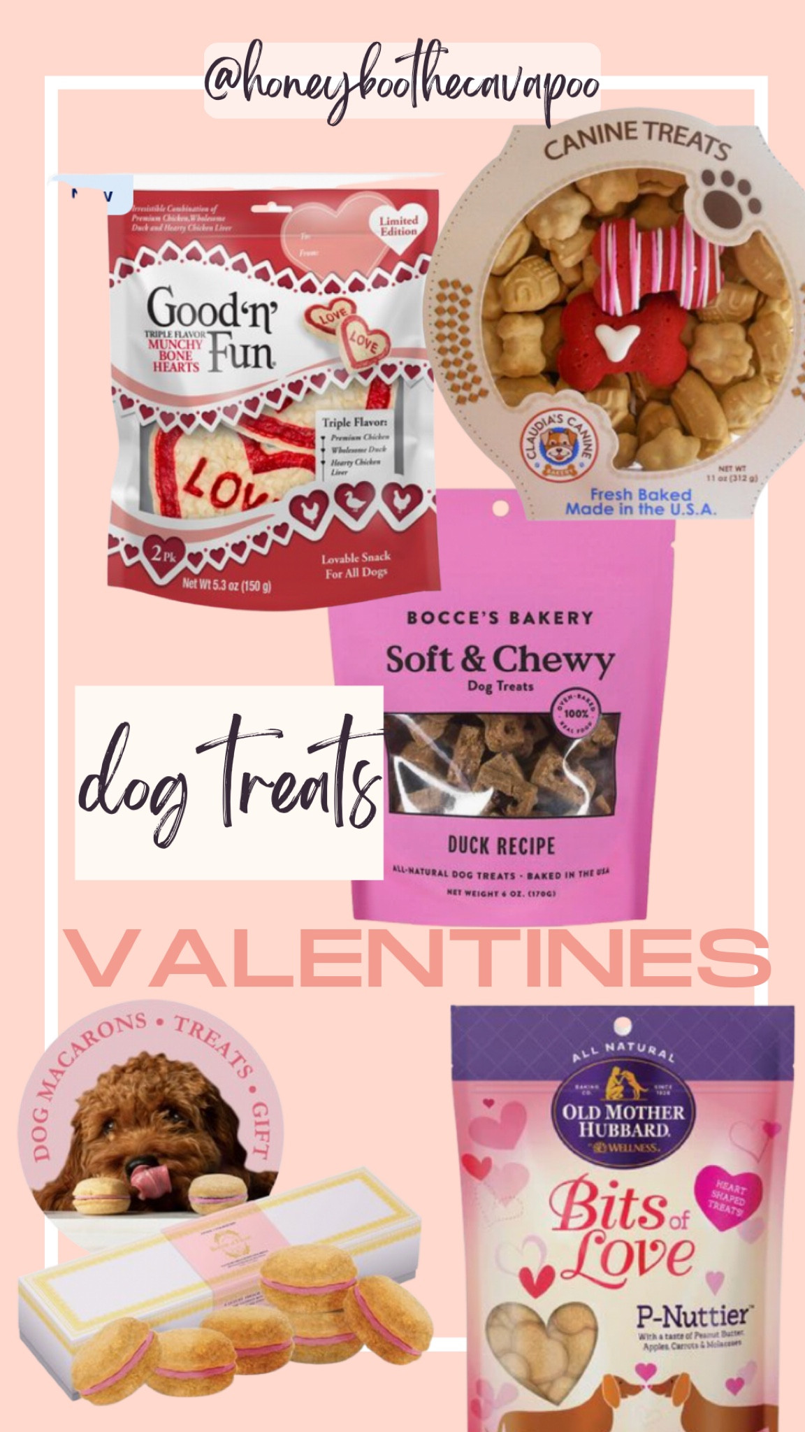 Valentine, pup, dog 

#LTKsalealert #LTKSeasonal #LTKGiftGuide