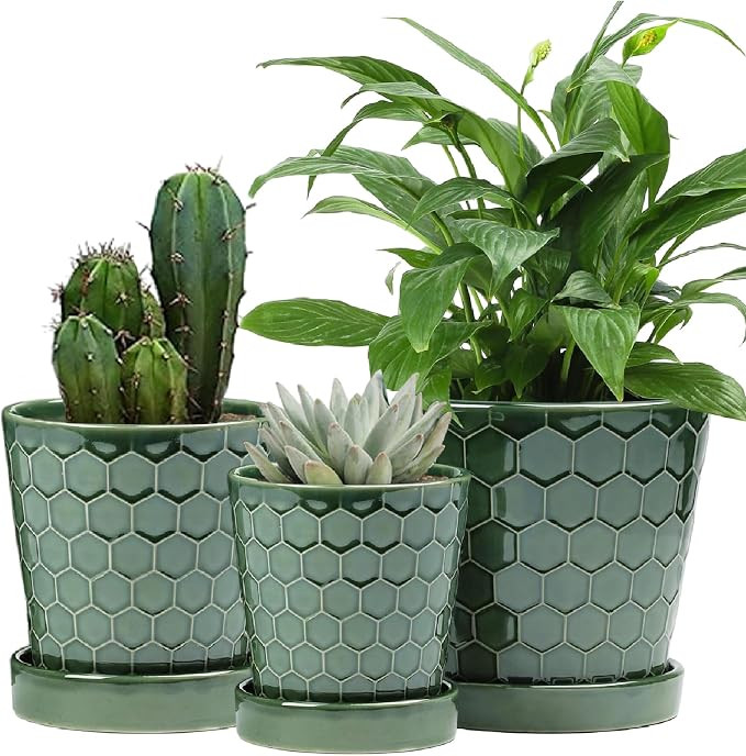 Ceramic Plant Pots,4+5+6 Inch Pots for Indoor Plants,Planters with Drainage Holes and Ceramic Tra... | Amazon (US)
