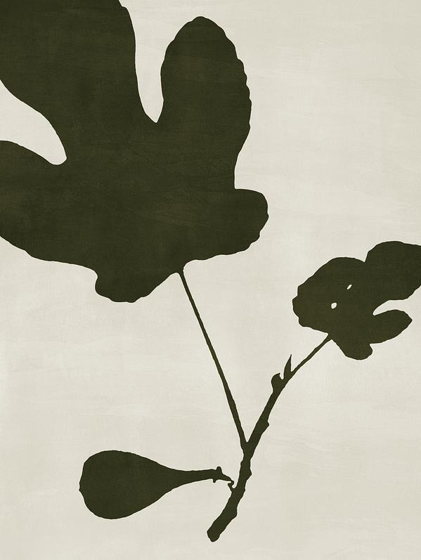 Fig Branch | Artfully Walls