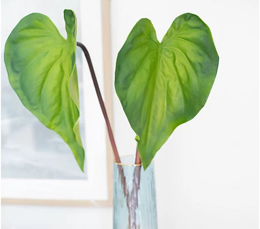 Set of(2)26" Faux Elephant Leaf Picks by Lauren McBride | QVC