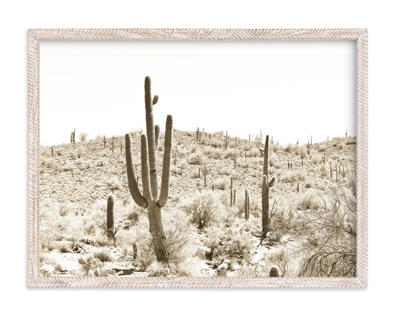 "Dusty Cacti" - Photography Limited Edition Art Print by Basil Design Studio. | Minted