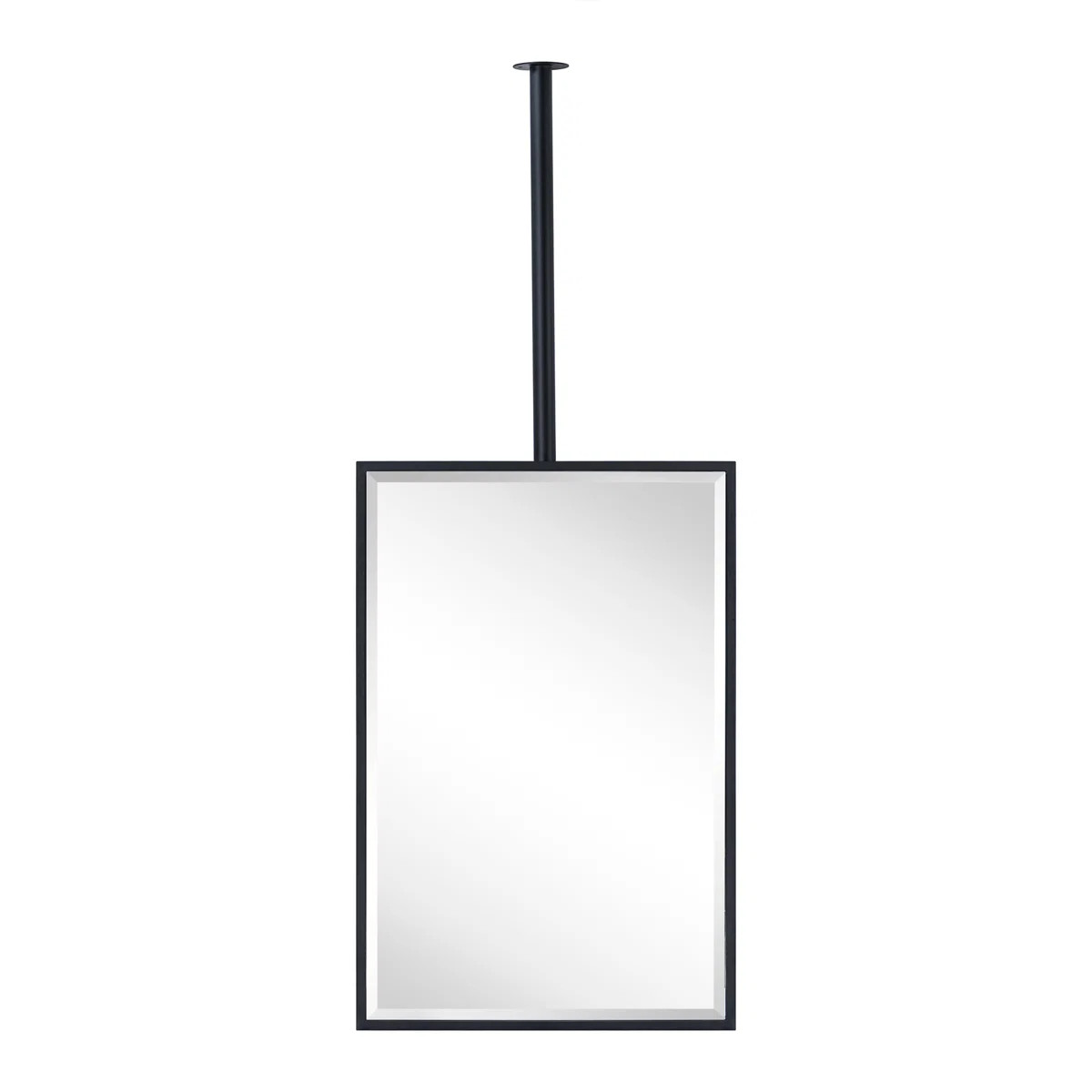 Seren 30'' H X 20'' W Ceiling Mount Rectangle Metal Wall Mirror | Wayfair North America
