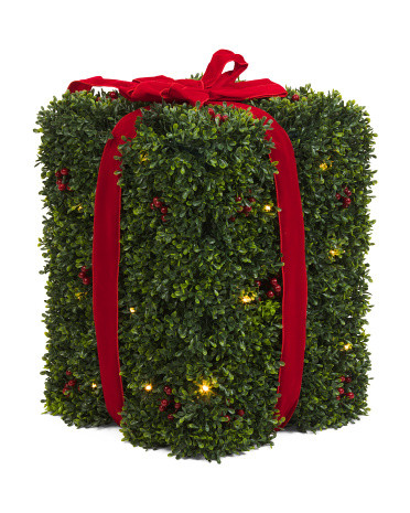 Outdoor Safe Led Boxwood Present With Ribbon | TJ Maxx