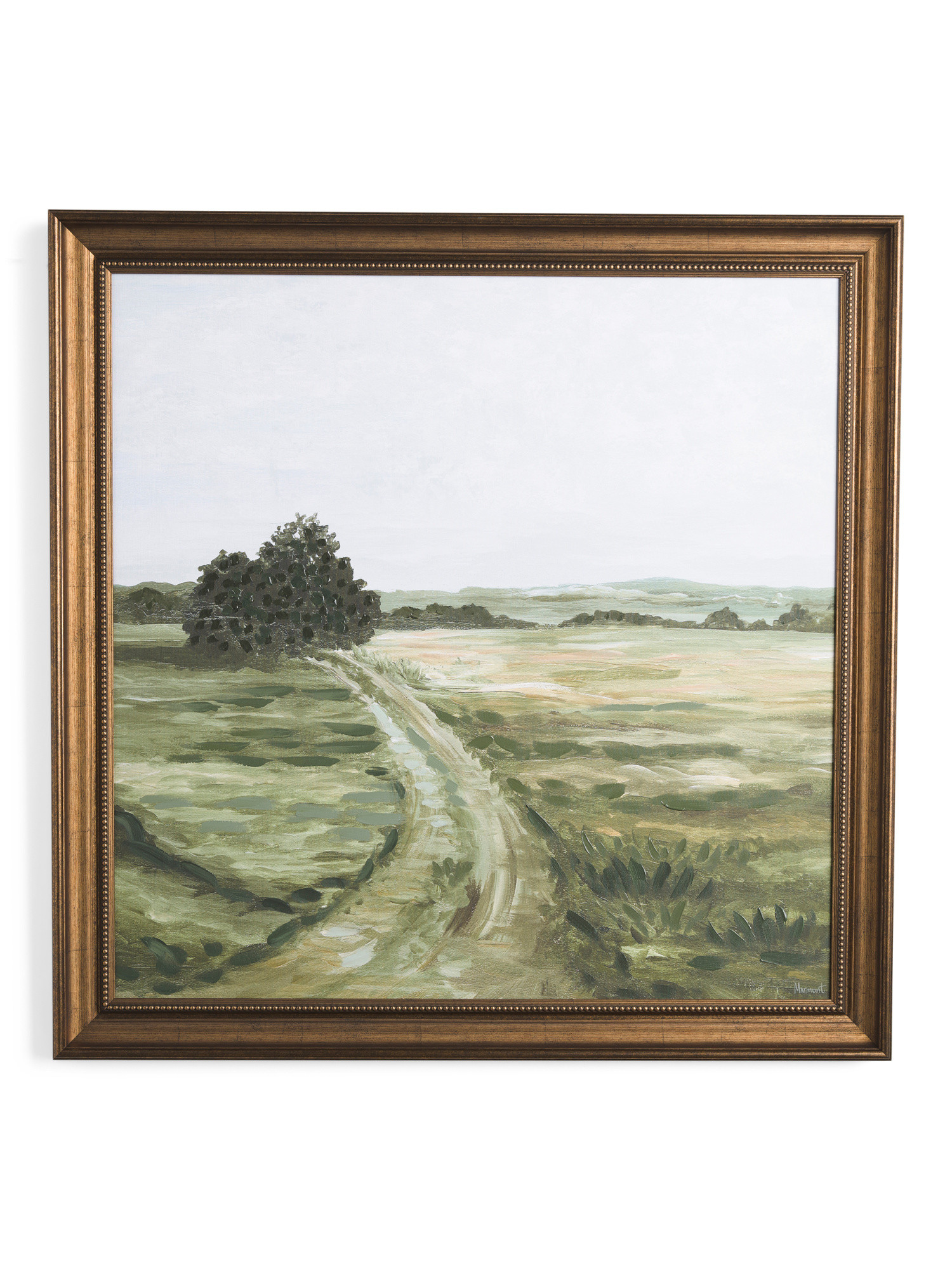 36x36 Frame 73 Joshua Tree Field Wall Art | TJ Maxx