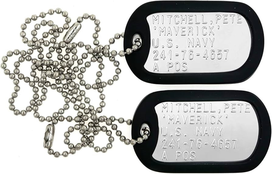 Stainless Steel Military Dog Tags Set with Chains and Silencers Halloween Costume Prop for Role P... | Amazon (US)