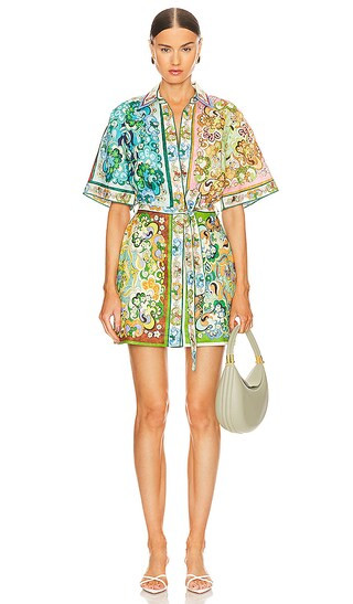 Dreamer Mini Dress in Multi | Revolve Clothing (Global)