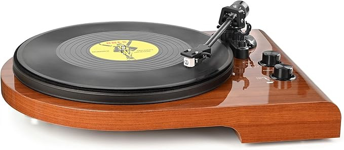 Turntable with Bluetooth Output Input,Vinyl Record Player with Build in Preamp and USB Recording,... | Amazon (US)
