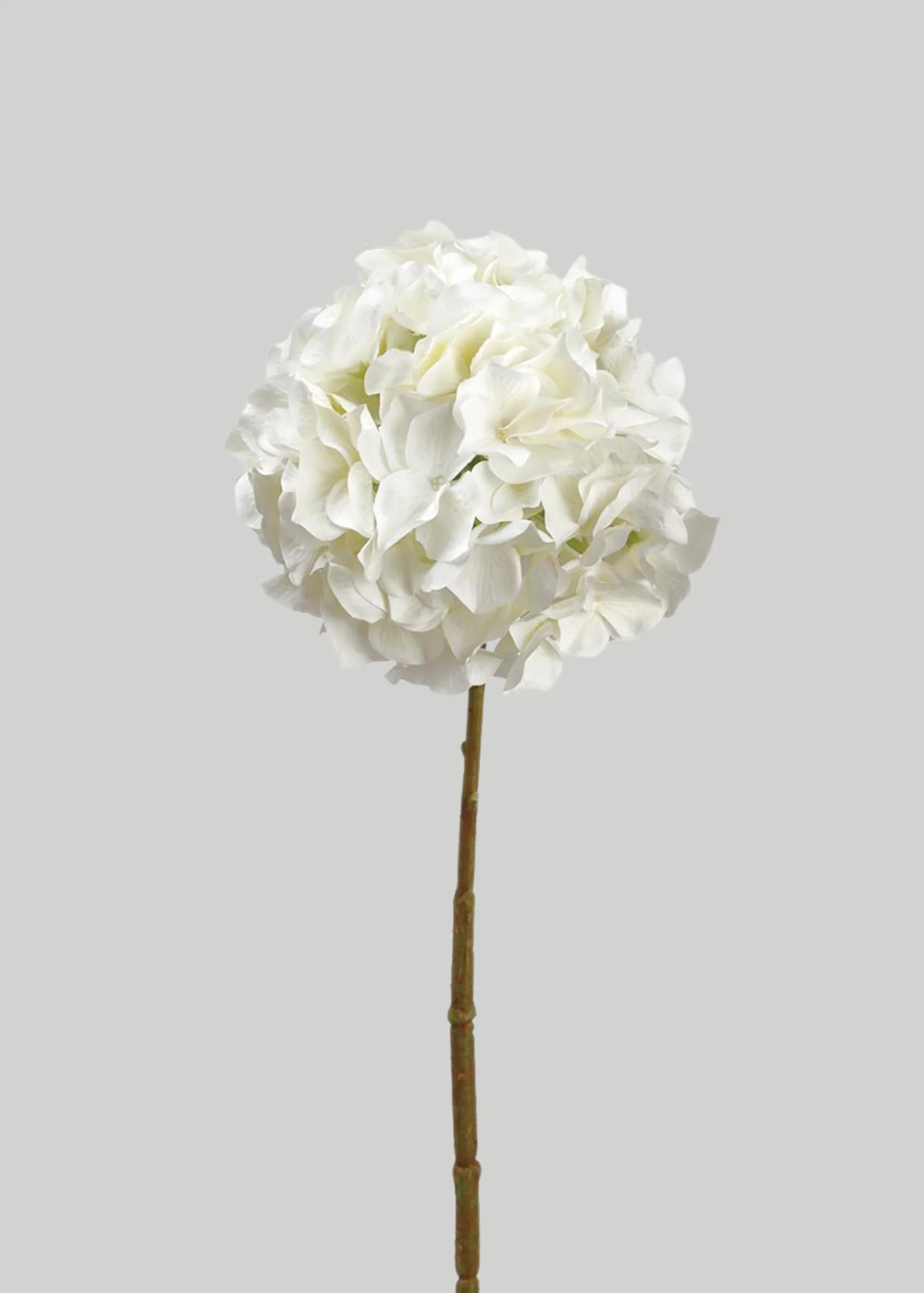 Artificial Hydrangea Blooming Flower in White - 21 | Afloral