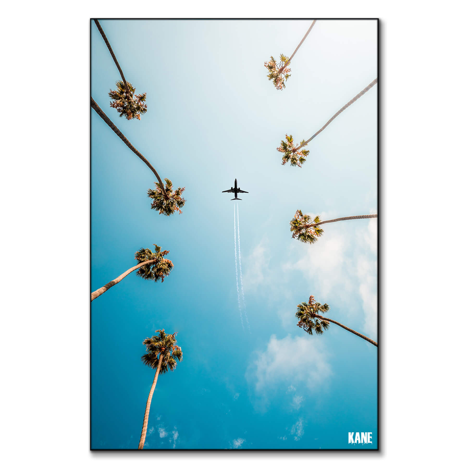 Palm Trees | Big Wall Decor (US)