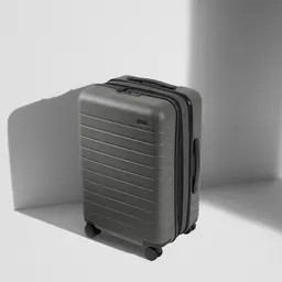 The Bigger Carry-On Flex | Away