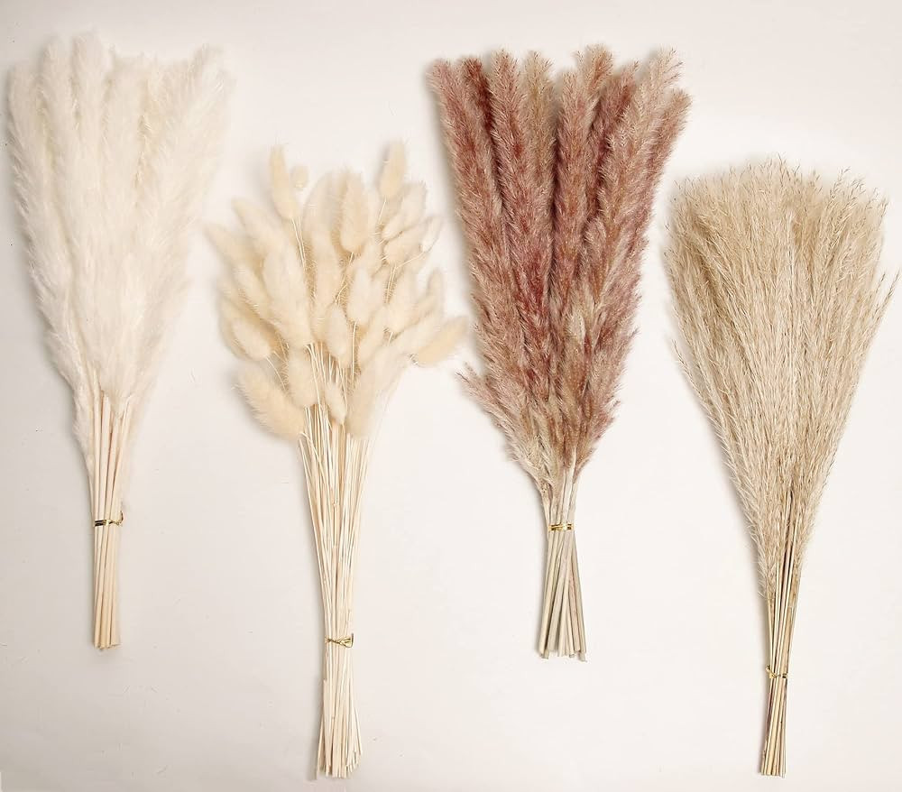 Natural Dried Pampas Grass Decor, 100 PCS Pampas Grass Contains White Bunny Tails Dried Flowers, ... | Amazon (US)