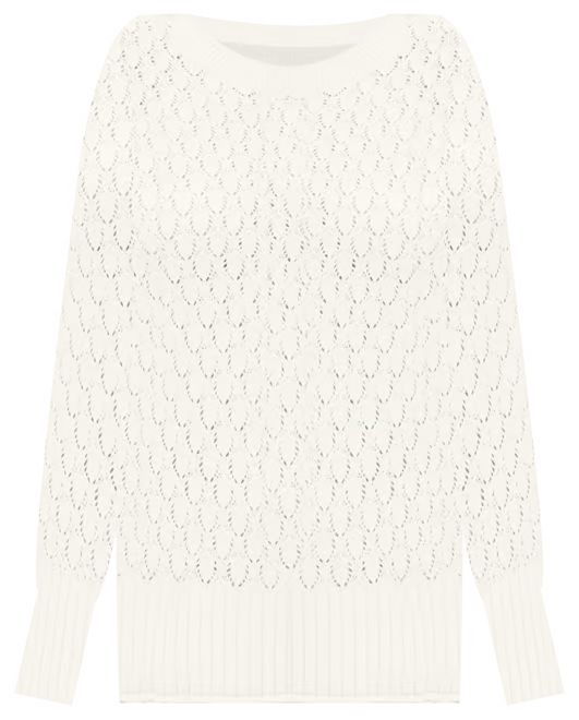Pointelle Sweater | LOFT