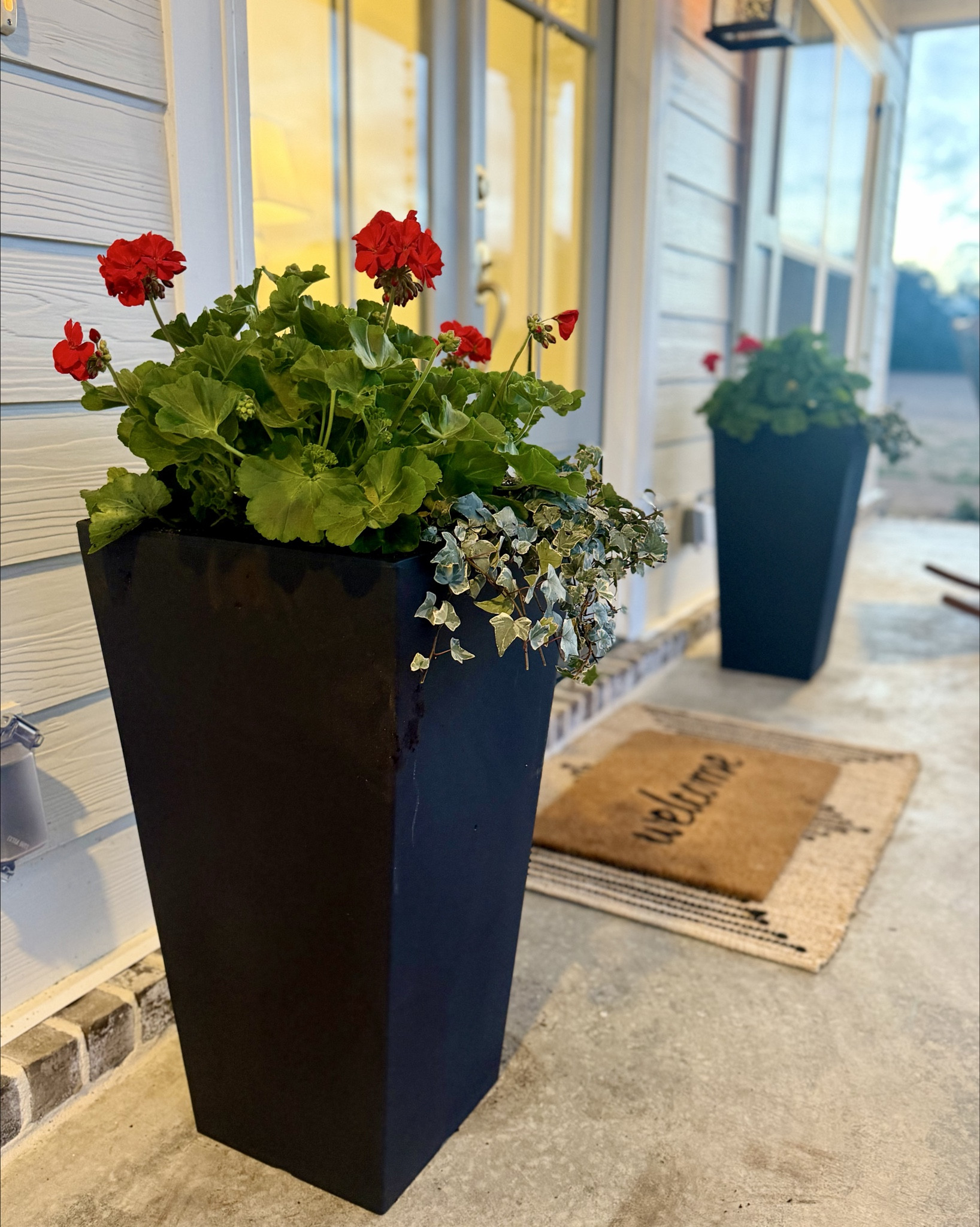 When your dad buys you geraniums for Valentine’s Day, you grab some new planters to spruce up your porch! Found these on sale at Sam’s for $30 each🙌🏼 They’re plastic but look so upscale🌸🌼 Linked the square ones I purchased and also the round shape they come in!