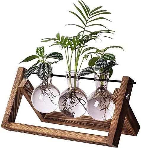 Kingbuy Plant Propagation Stations Terrarium Glass Desktop Planter with Retro Wooden Stand 3 Bulb... | Amazon (US)
