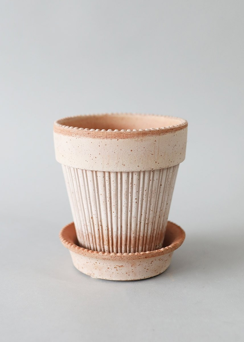 Bergs Simona Scalloped Pink Washed Terracotta Clay Pot - 6" Tall x 5.5" Wide with Drainage | Afloral (US)
