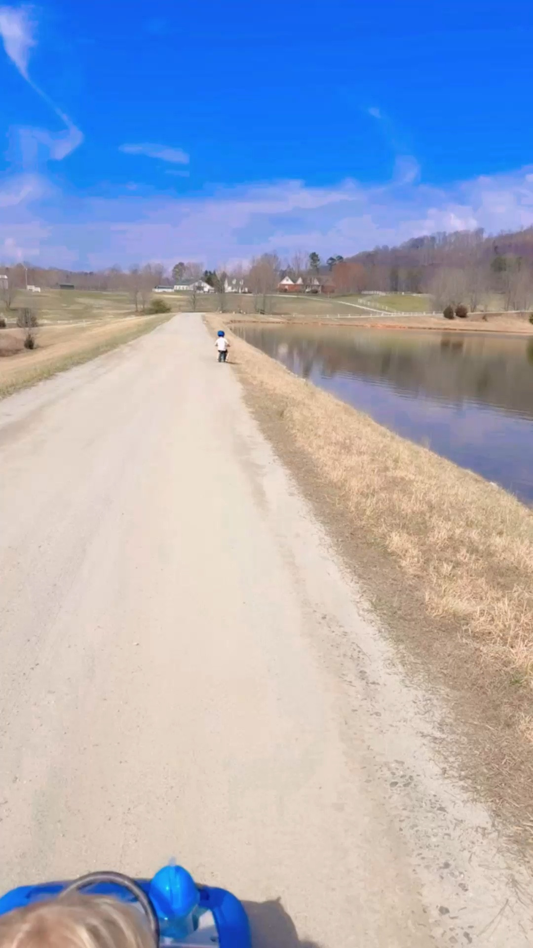 Went on the most beautiful early march walk around the farm and dirt roads by us and just was taking it all in!!! 🐴🌳☀️🌼🪿