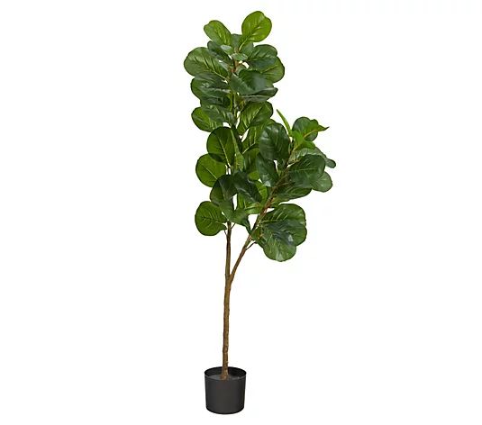 Nearly Natural 5.5' Fiddle Leaf Fig Artificialee | QVC