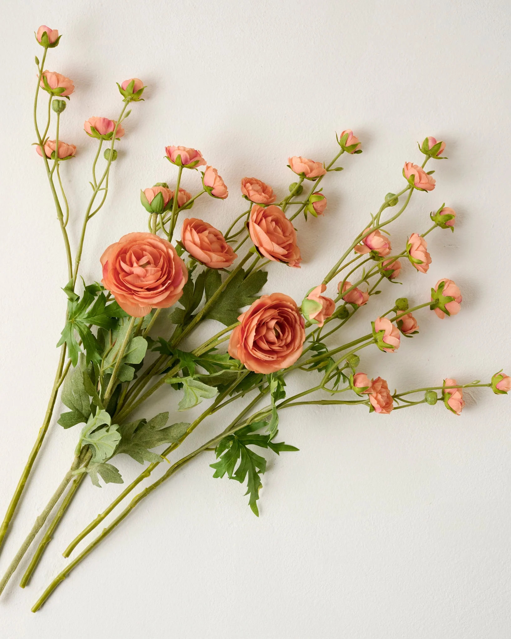 Ranunculus Bloom Bundle | Magnolia
