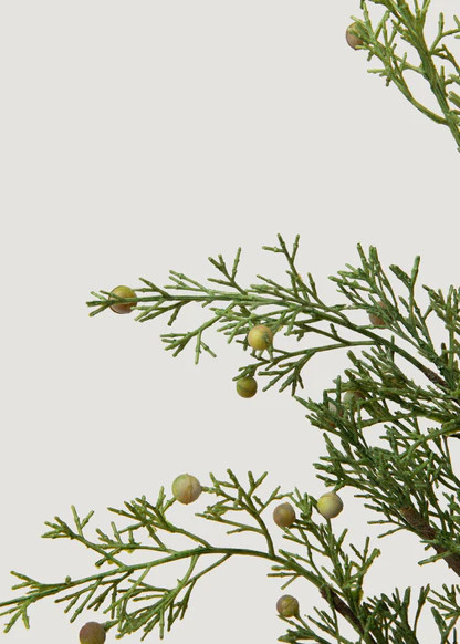Artificial Cypress Branch | Lifelike Fake Winter Greens | Afloral | Afloral