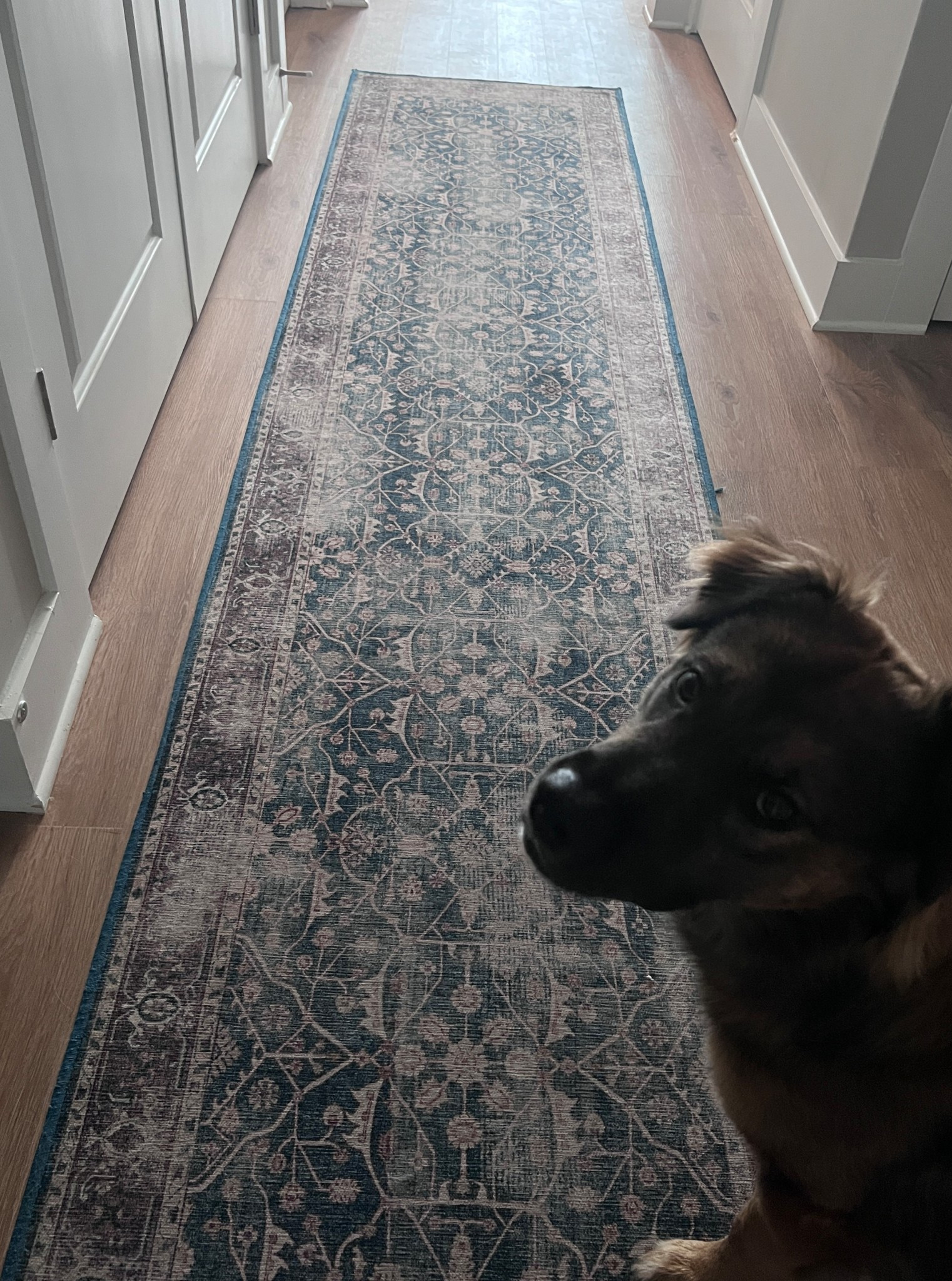 I’ve posted about Ruggable before and can’t say enough good things.
It is so convenient to wash these rugs as needed. Having a dog these are so incredible and can imagine eventually with young kids, too!

#LTKCyberWeek #LTKHome