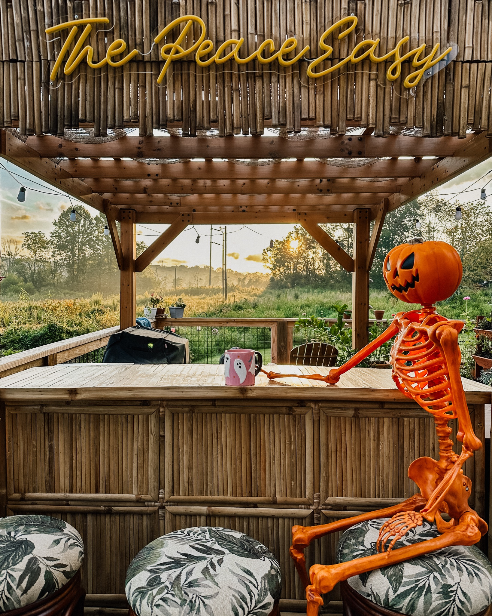 Our bar had a visitor this morning 

#LTKFallSale #LTKSeasonal