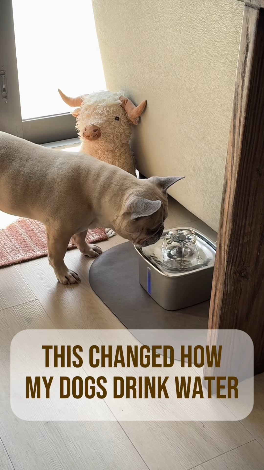 Tired of slimy pet bowls???
I finally switched to this stainless steel water fountain that keeps my dog’s water fresh, clean, and actually appealing. 
QUIET & EASY TO CLEAN!!!!
>>>Tap to shop & make the switch - your pets will thank you.


#LTKPets